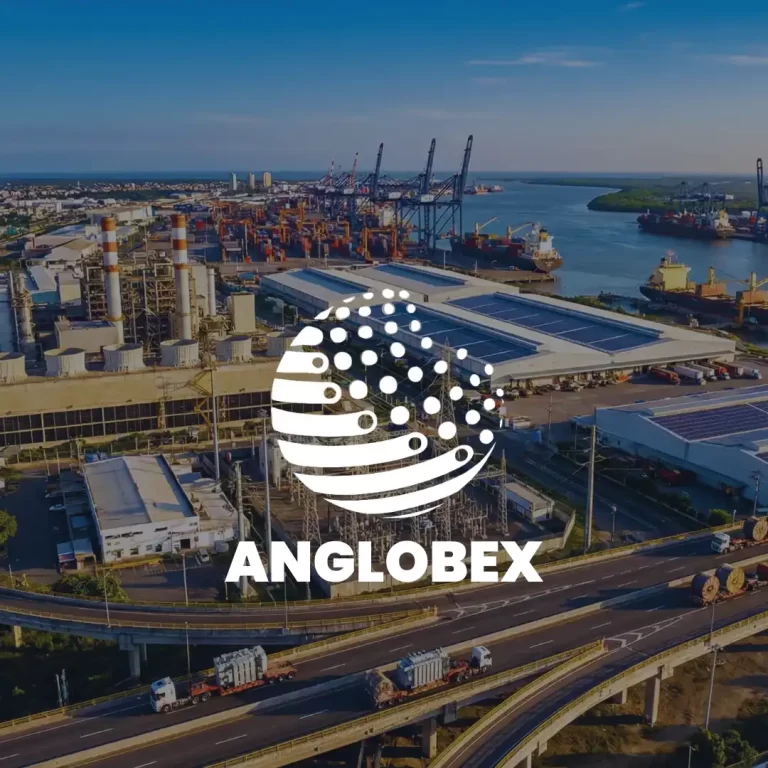 Aglobex caso de exito seo sector industrial guayaquil