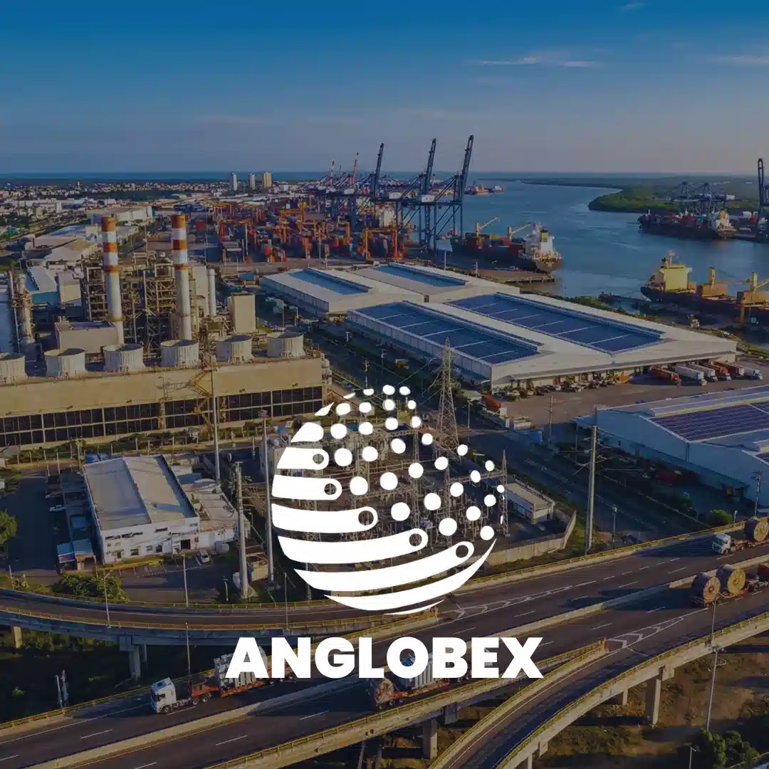 Aglobex caso de exito seo